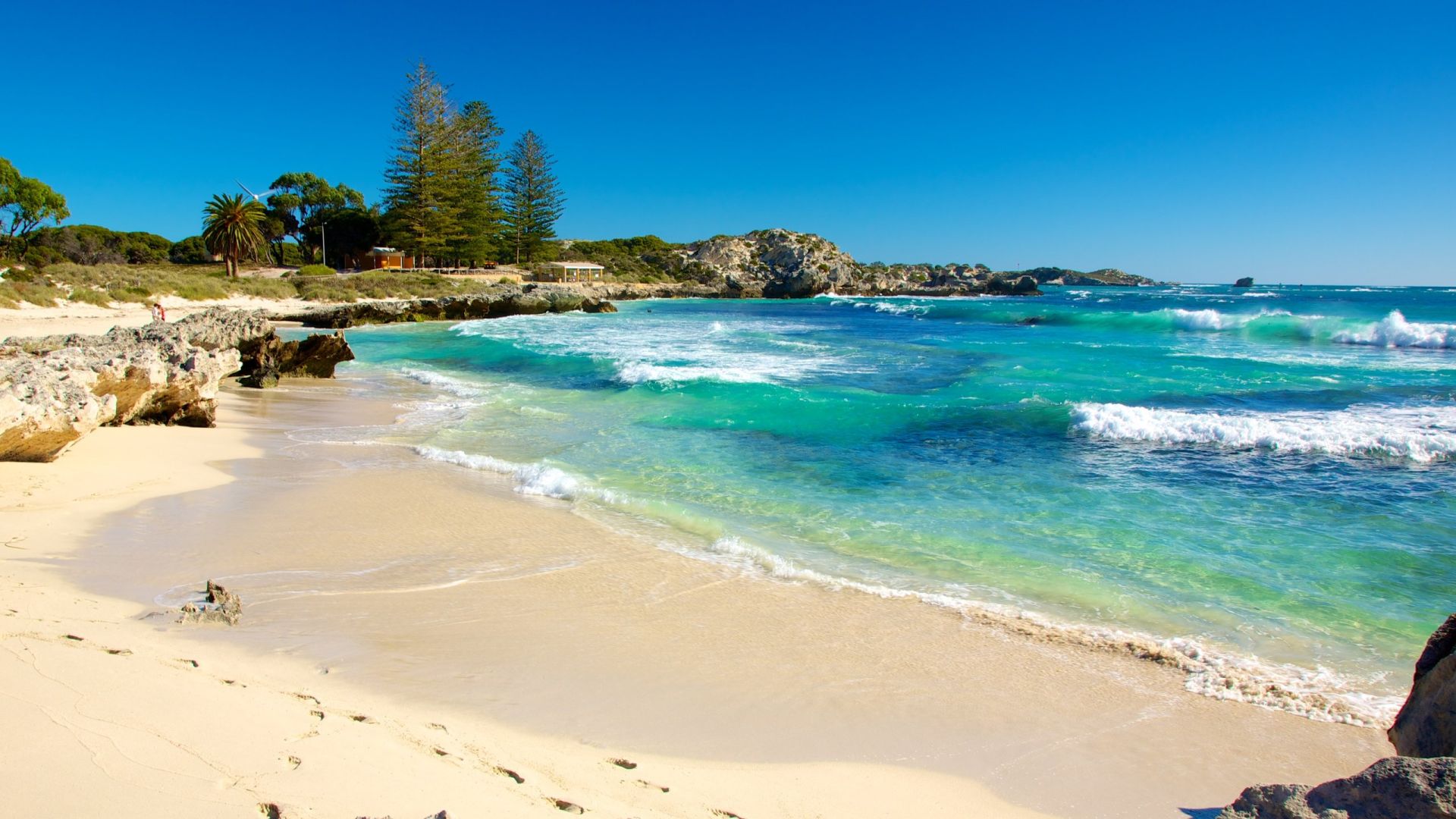Dechen’s Journey to becoming a Home Assistant in Perth